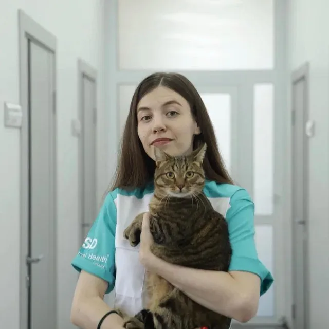 Дюжина Алиса Александровна