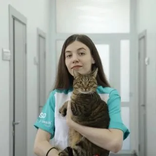 Дюжина Алиса Александровна