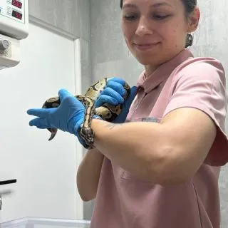 Булаева Ксения Викторовна