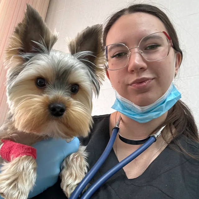 Ситникова Алина Георгиевна