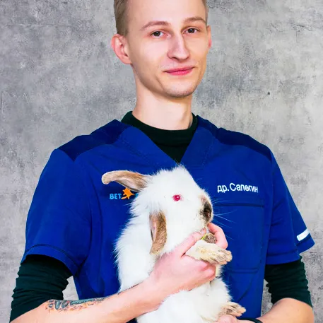 Сапегин Артем Дмитриевич