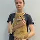 Семенова Ксения Андреевна