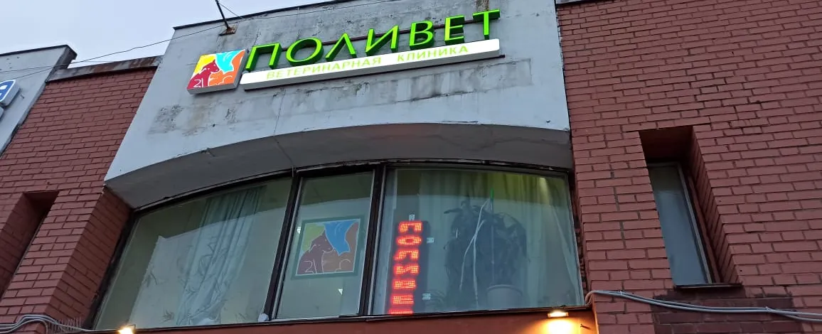Фото галереи 1