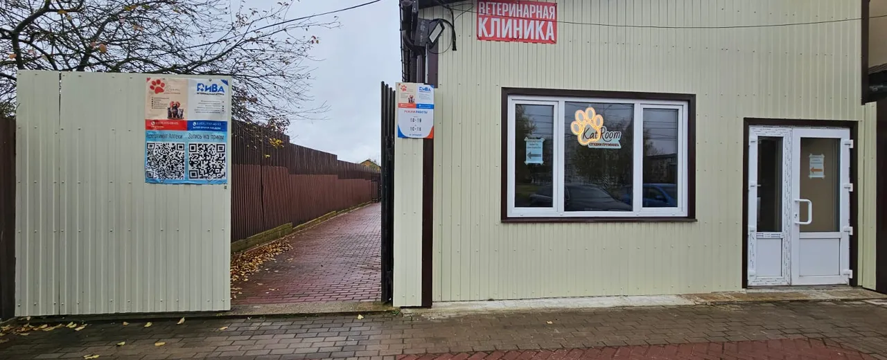 Фото галереи 4