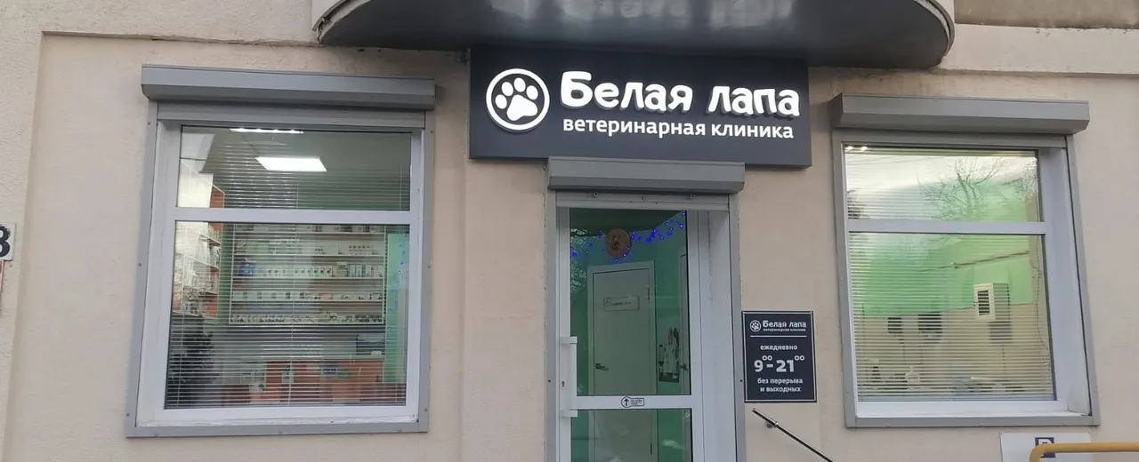 Фото галереи 1