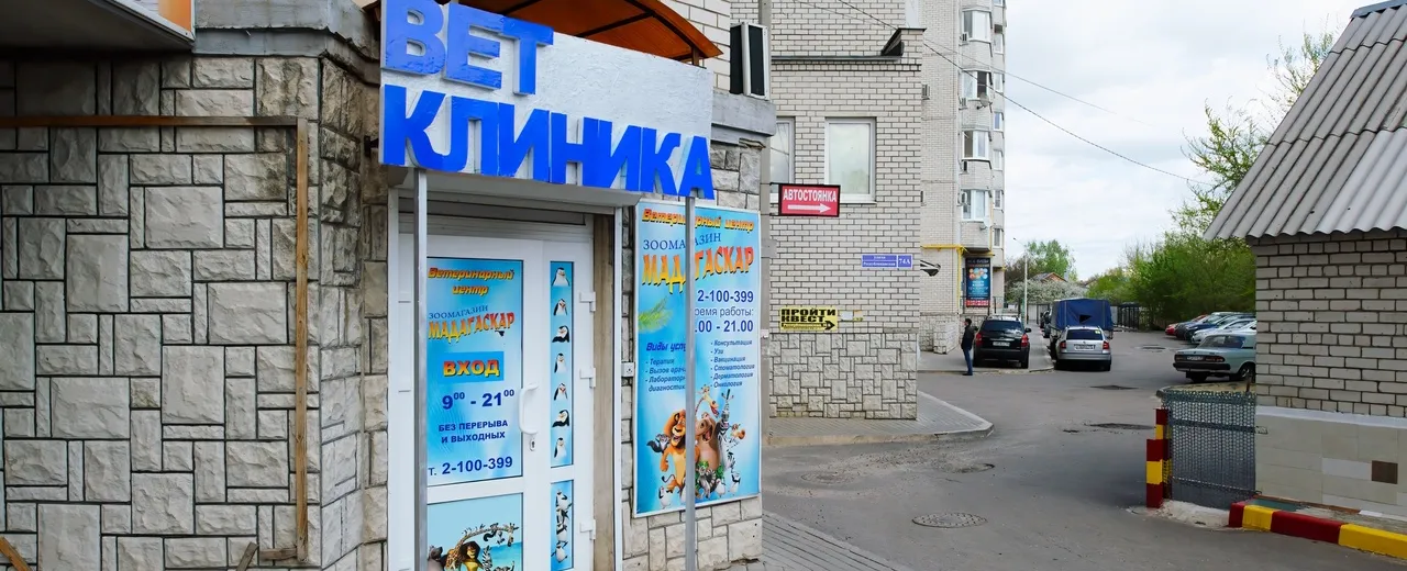 Фото галереи 14