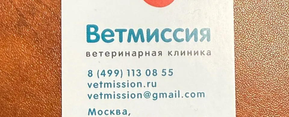 Фото галереи 4