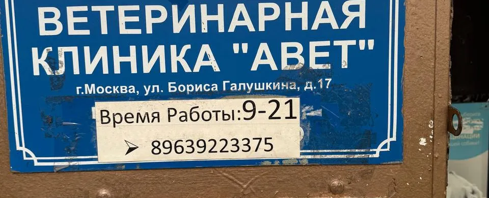 Фото клиники Авет 1