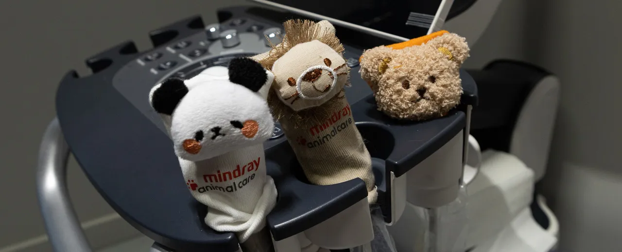 Фото клиники Центр инновационной ветеринарии и реабилитации 7