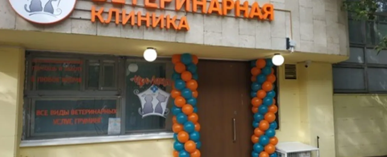 Фото галереи 5