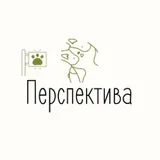Перспектива