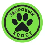 Здоровый хвост