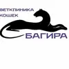 Багира Клин