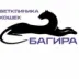Багира Клин