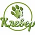Клевер