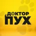 Доктор Пух в Клину