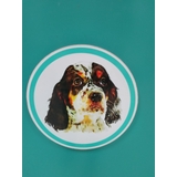 Ветеринарная клиника "Белый Бим"