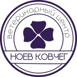 Ноев Ковчег 