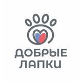 Добрые лапки
