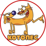 КОТОПЁС