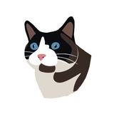 Логотип клиники КотОся