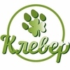 Логотип клиники Клевер