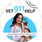 Vet911help