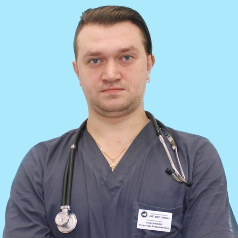 Кожевников Александр Владимирович