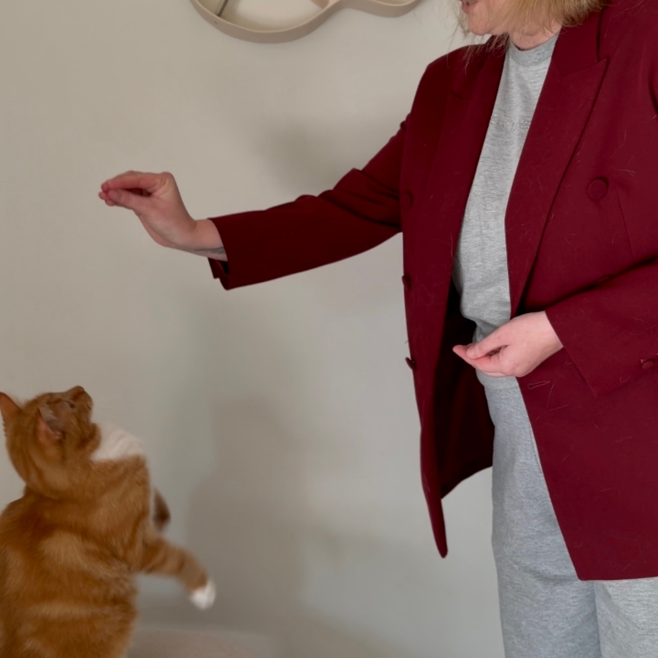 Балаева Анастасия