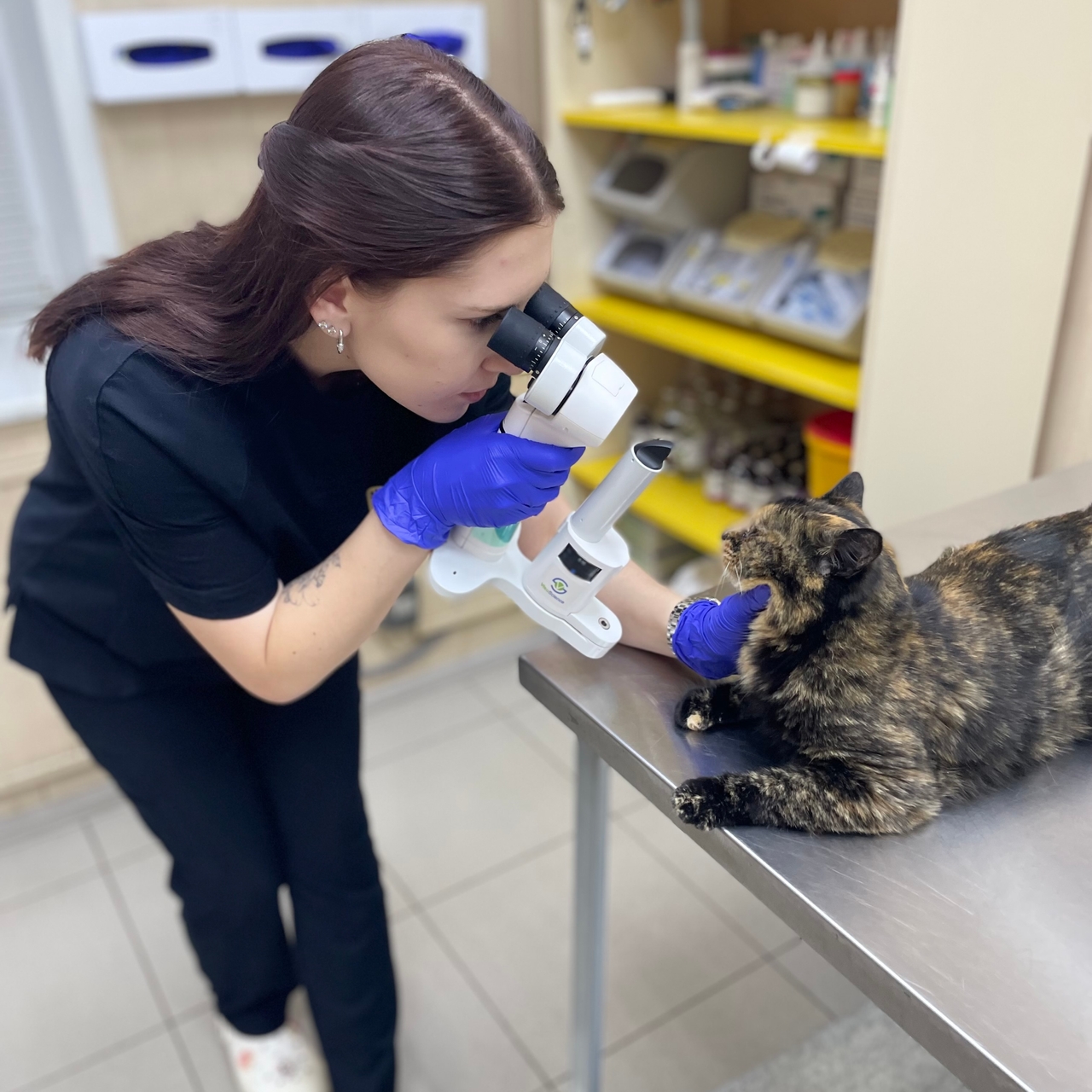 Кавкаева Алина Викторовна