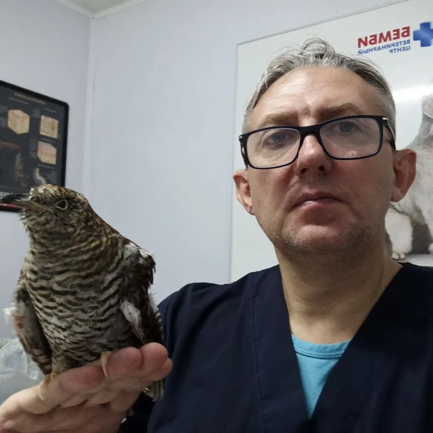 Чугуевский Владимир Владимирович