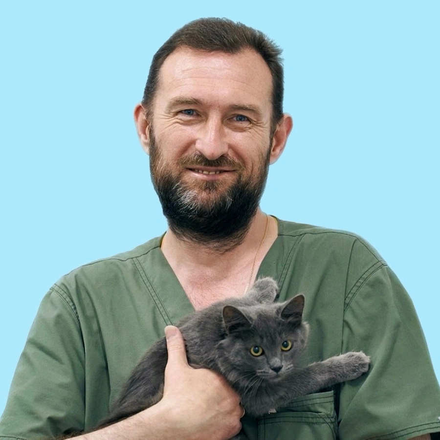 Хафизов Марат Дамирович