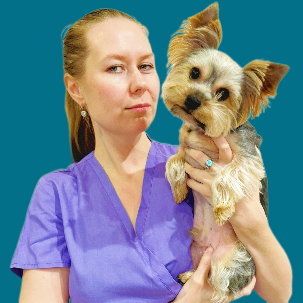 Животовская Дарья Николаевна