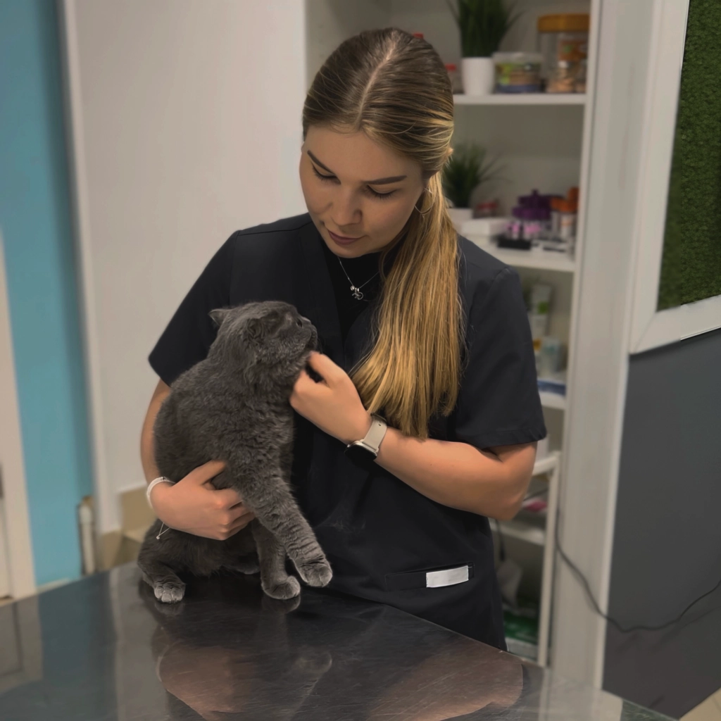 Лысенко Алина Васильевна