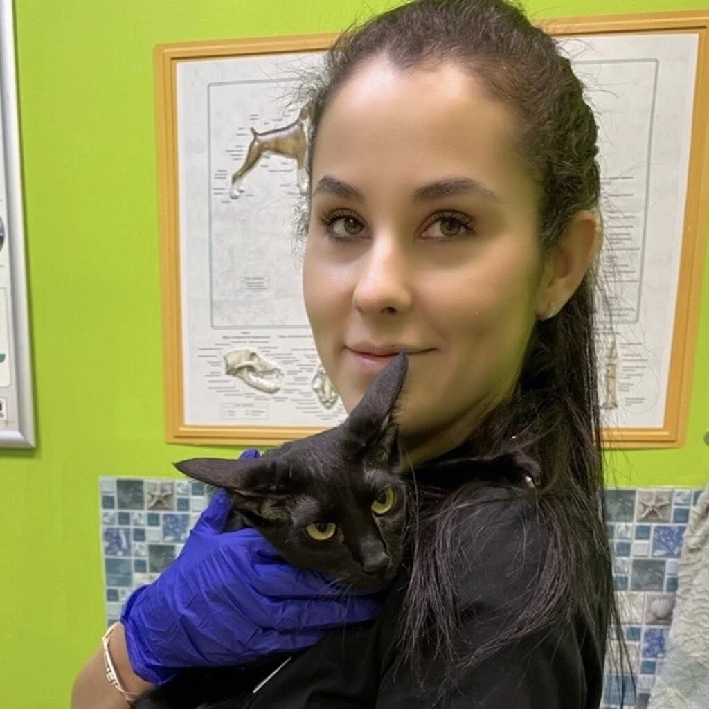 Лутаева Альфия Ильшатовна