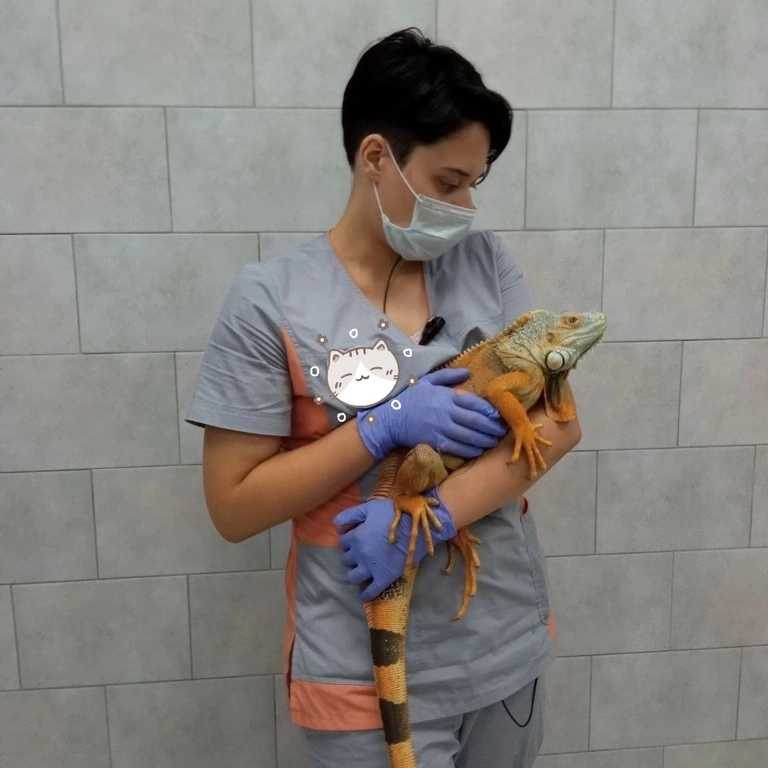 Зеленова Есения Юрьевна