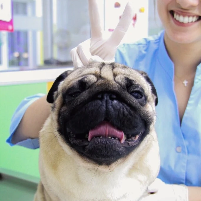 Варданян Даяна Левоновна