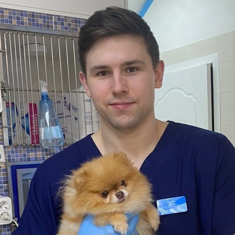 Воронов Артем Андреевич