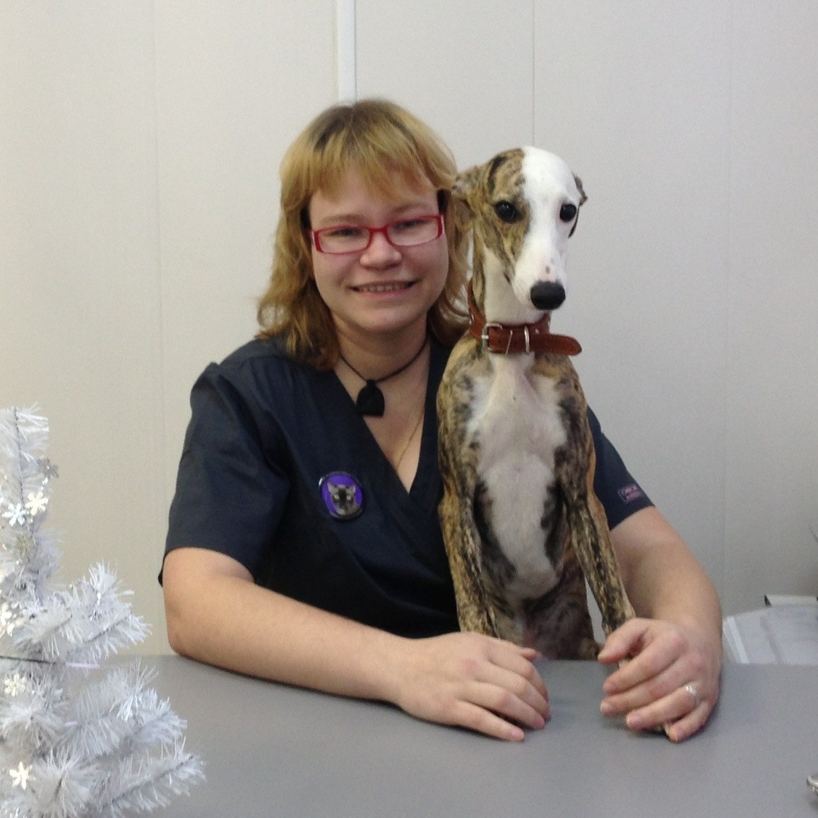 Вишнякова Екатерина Валерьевна