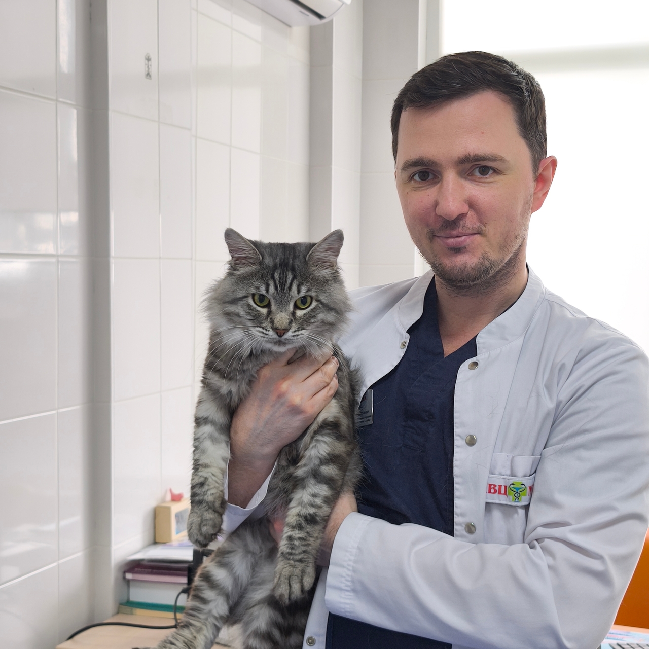 Шевелов Всеволод Алексеевич