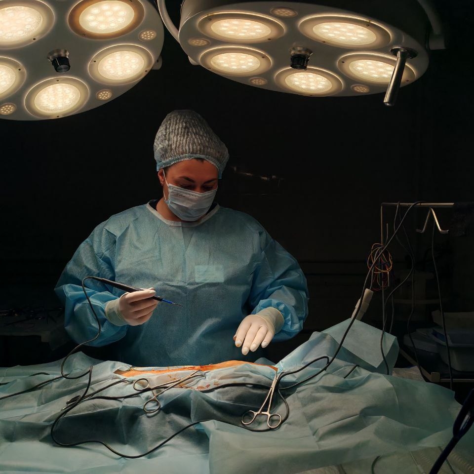 Косихина Марина Алексеевна