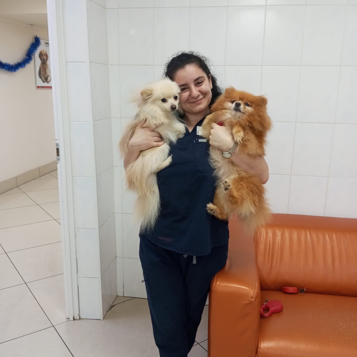 Золотова Злата Николаевна