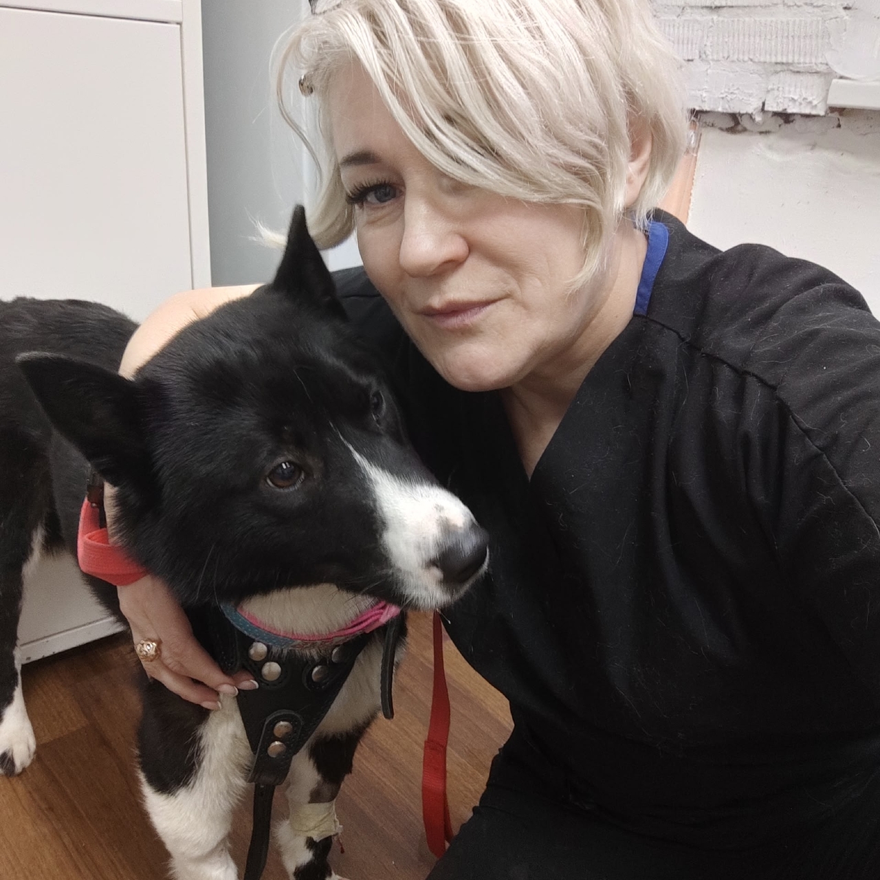 Шнайдер Бэлла Владиславовна