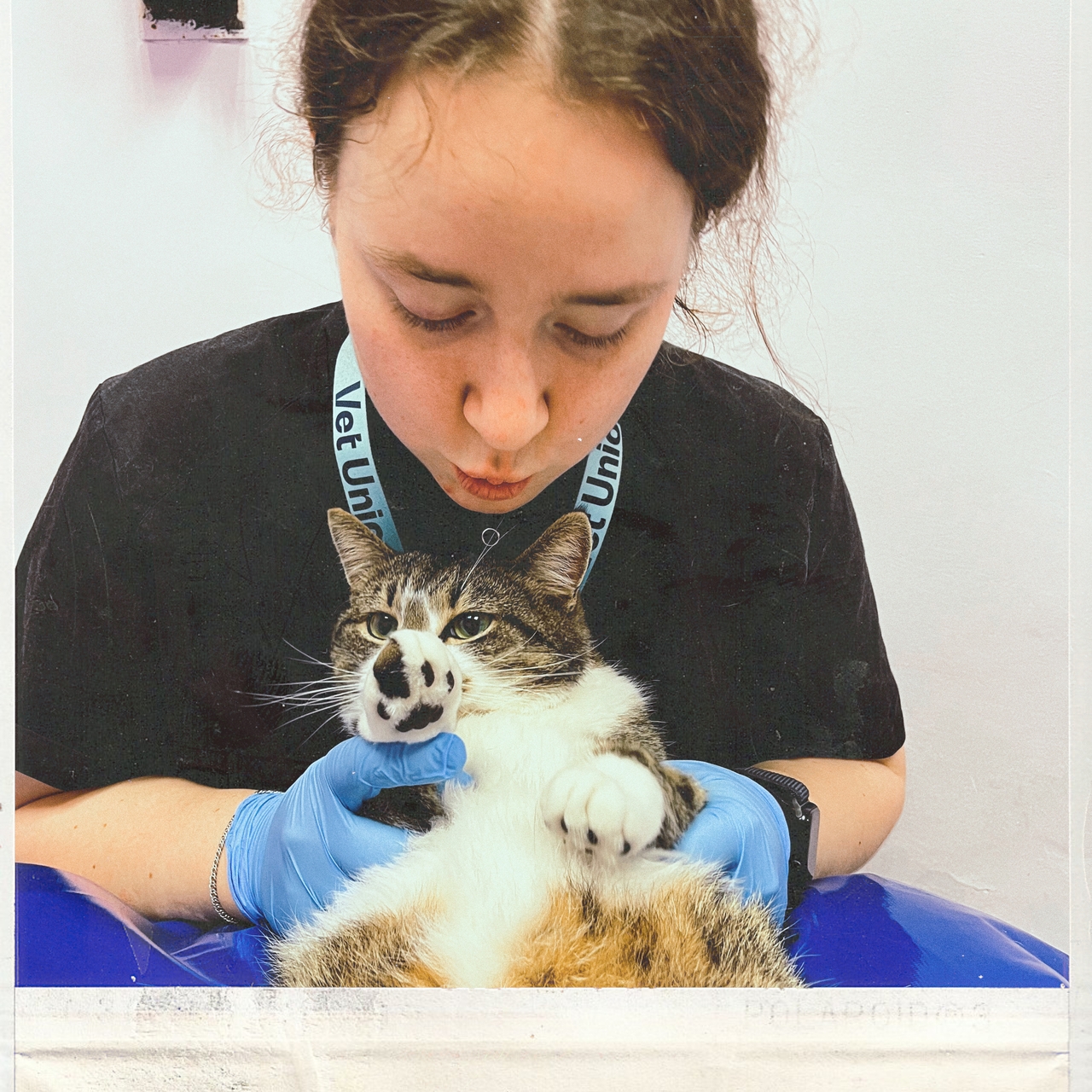 Смурова Елизавета Игоревна