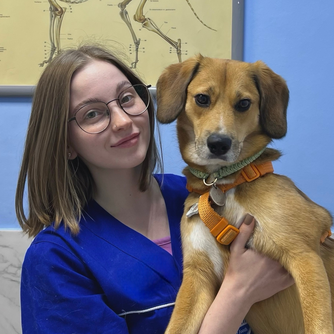 Рясная Дарья Владимировна