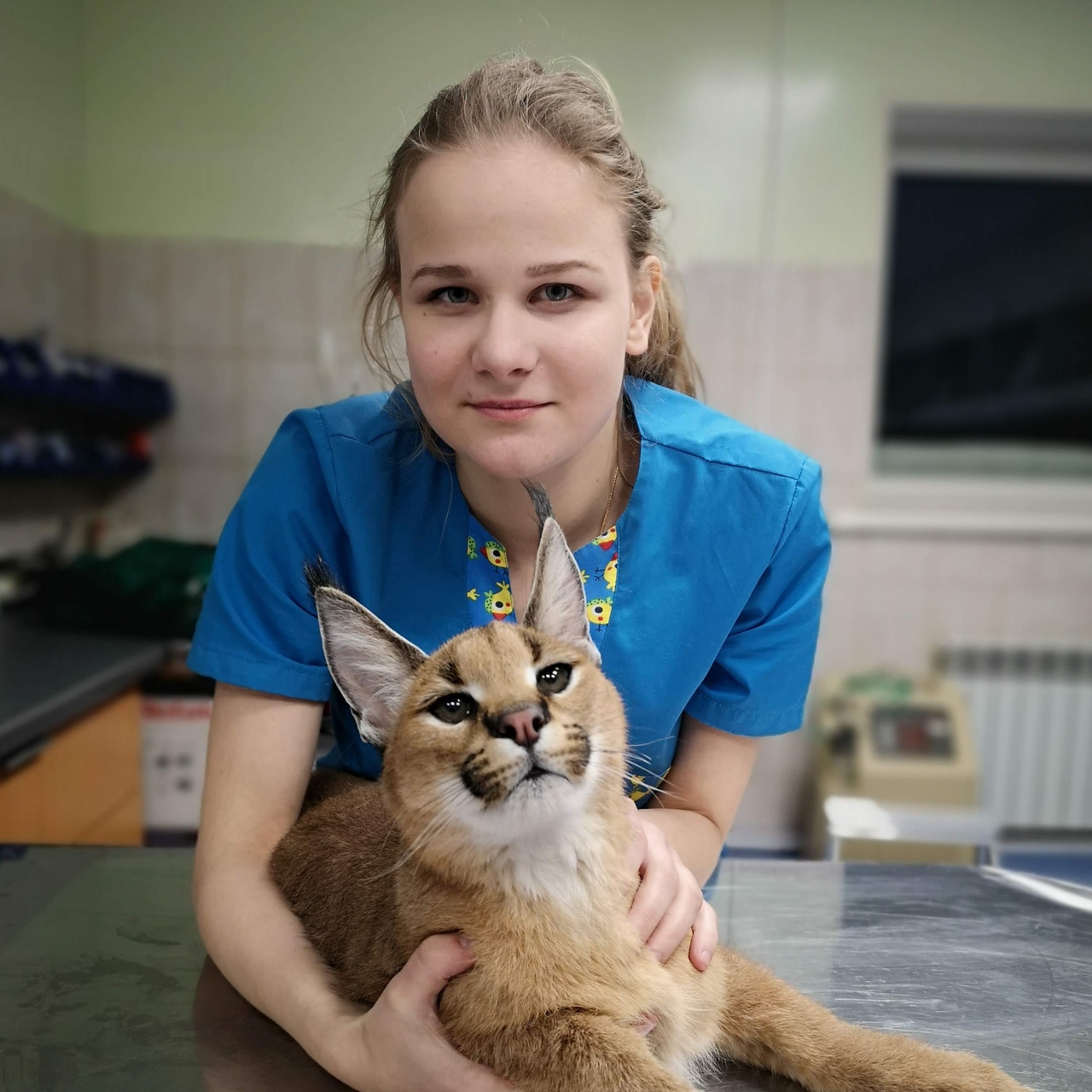 Нечесова Анастасия Павловна