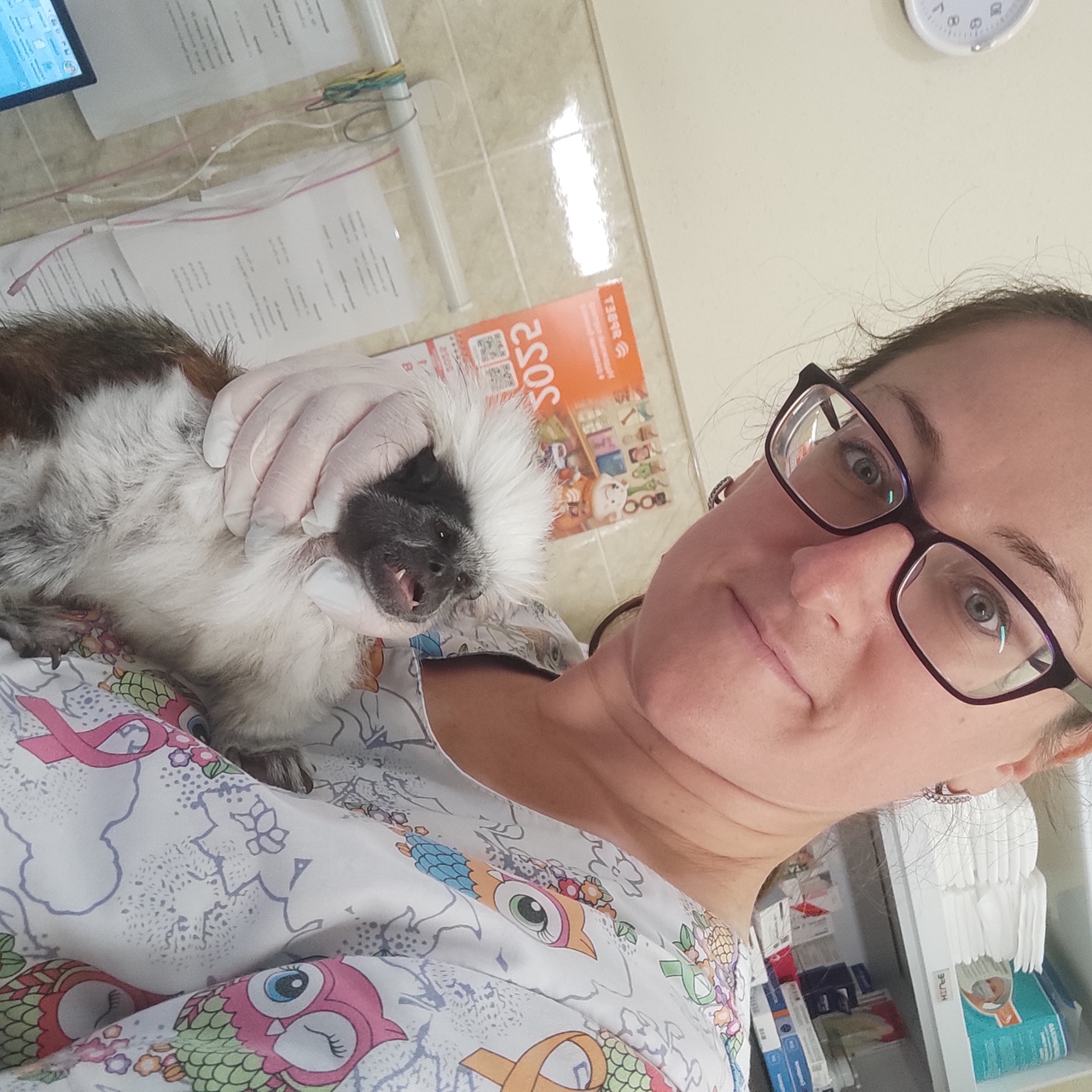 Андреева Мария Викторовна