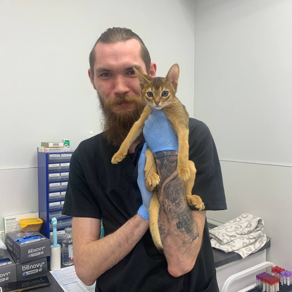 Ардашев Иван Александрович