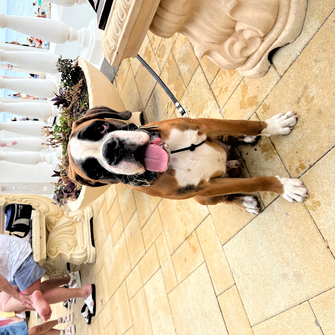 Груздева Алина Константиновна