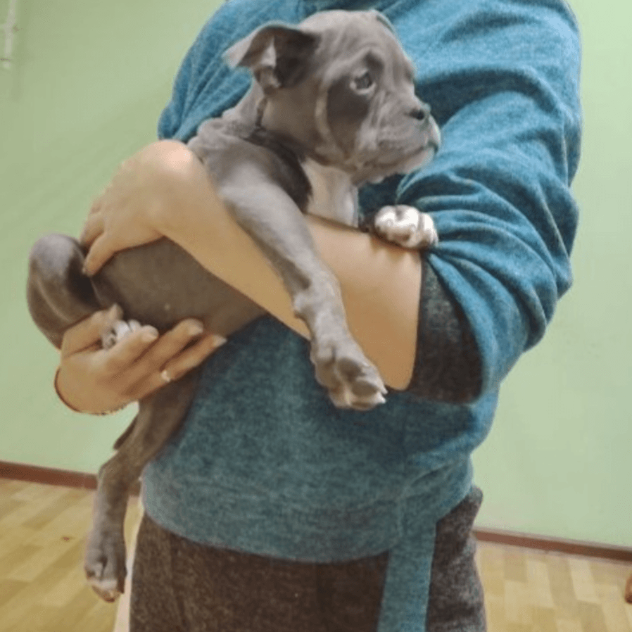 Спицына Светлана Шагитовна